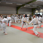 2020_01_18_00562_sport_karate_stage.jpg